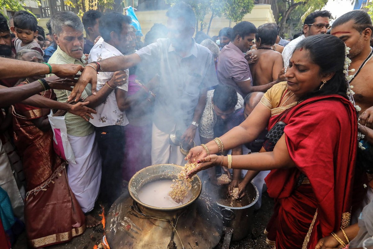 Традиционный праздник урожая Понгал в Индии