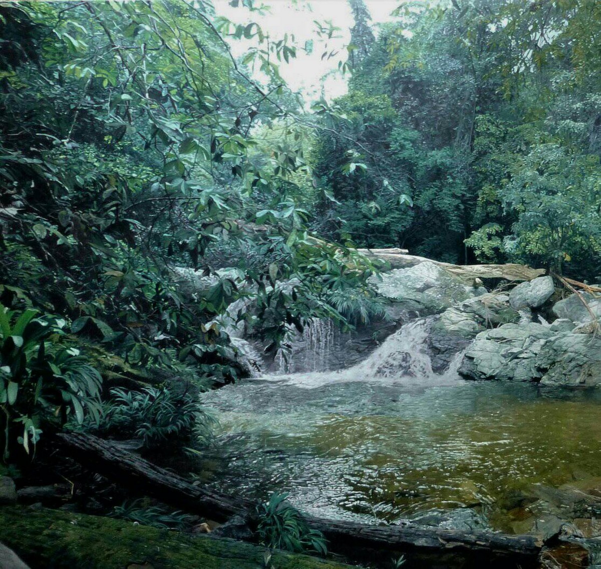 Тропические леса на фотореалистичных картинах Алонзо Моралеса Браво