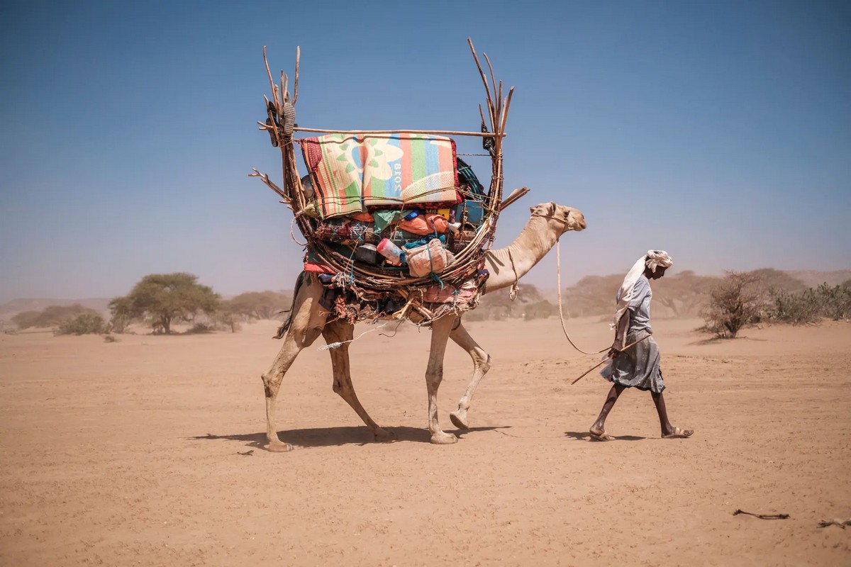 Сильнейшая засуха за последние десятилетия в Эфиопии, Сомали и Кении
