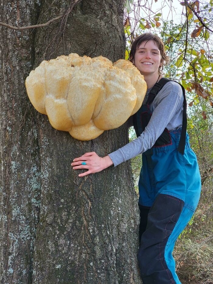 Потрясные снимки грибов от грибников и прочих собирателей
