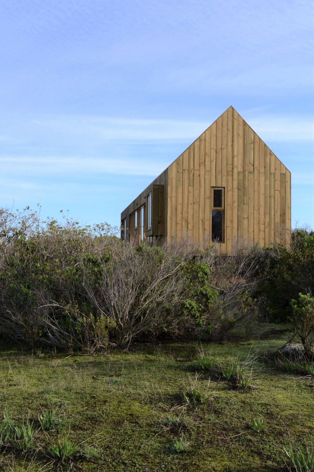 Экологичный деревянный дом с видом на океан в Чили