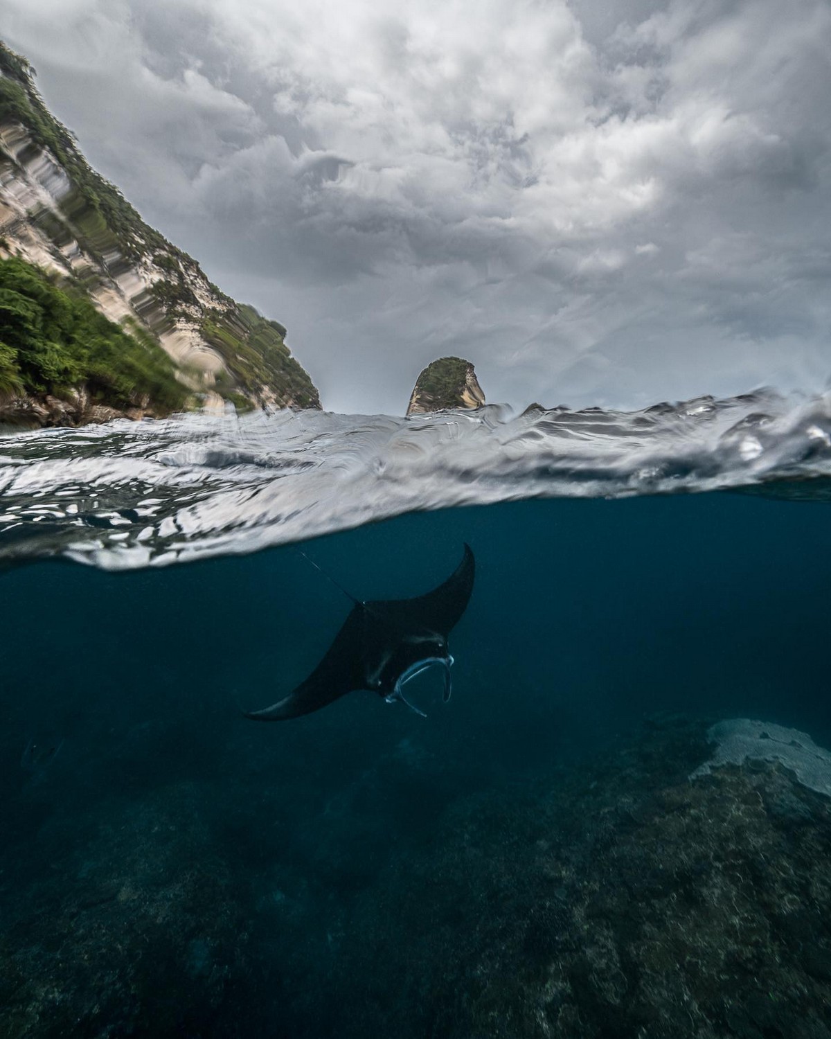 Впечатляющие морские снимки от Тьена Нгуена