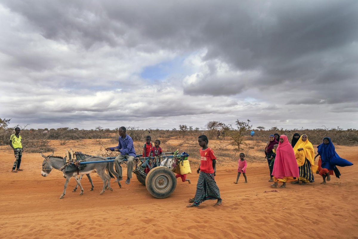 Продолжительная засуха приносит в Сомали страх