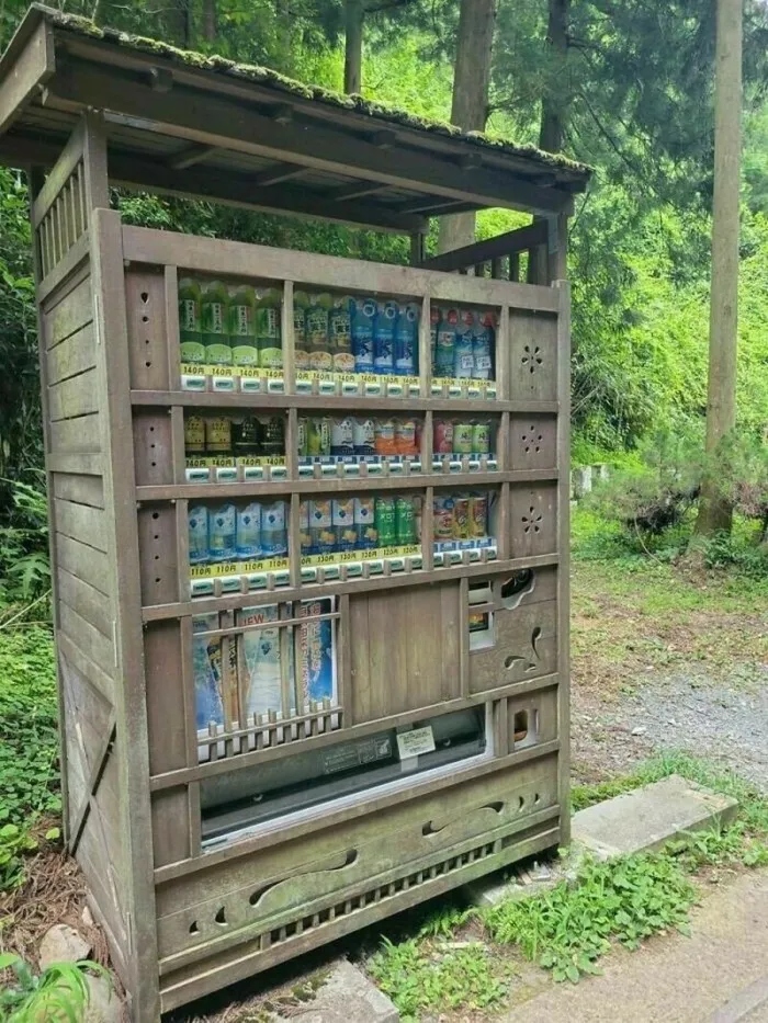Разные необычные торговые автоматы по всему миру