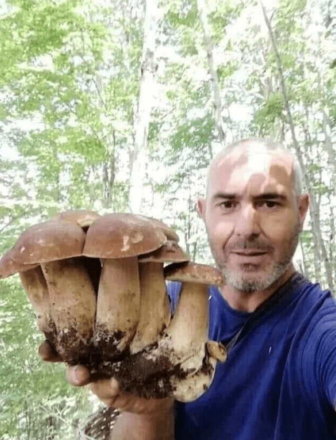 Люди отправилась в лес по грибы, а нашли грибной рай