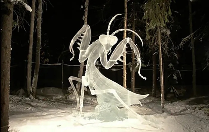 Примеры разных потрясающих скульптур изо льда