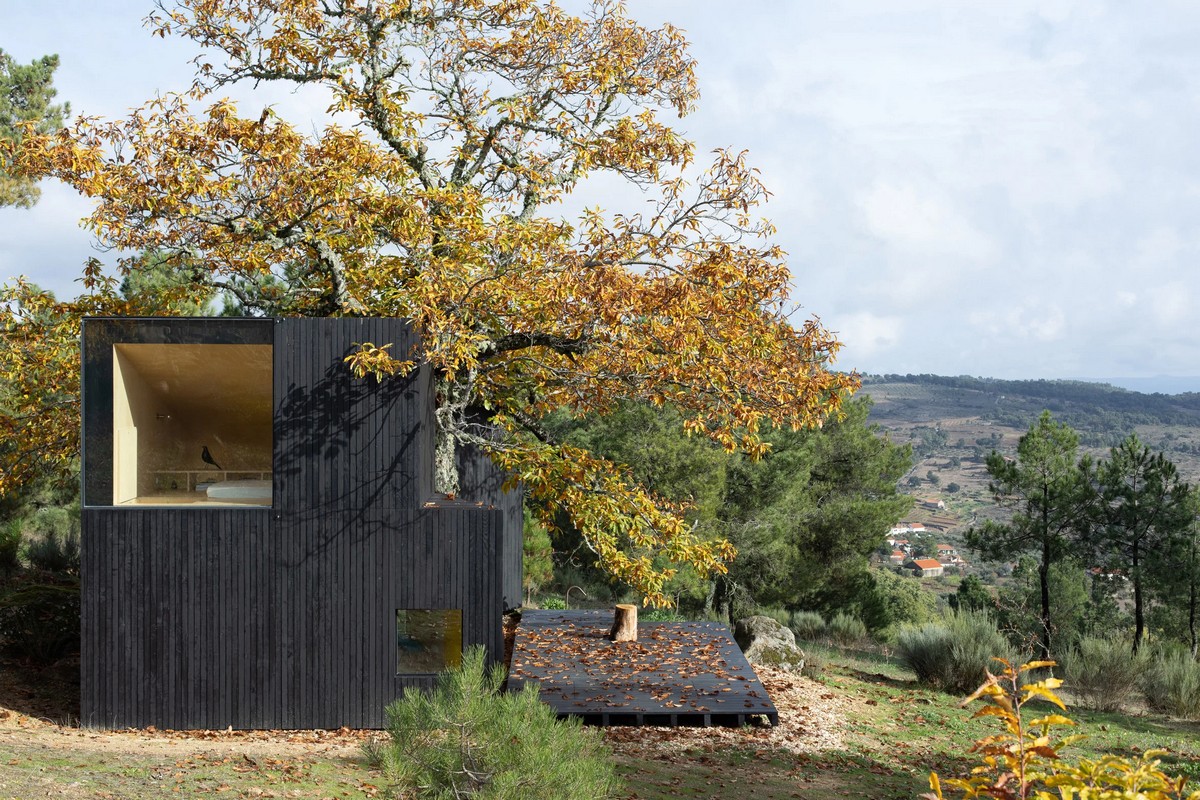 Каштановый домик в сельском пейзаже в Португалии