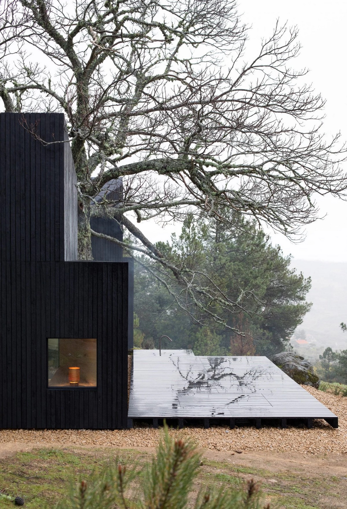Каштановый домик в сельском пейзаже в Португалии