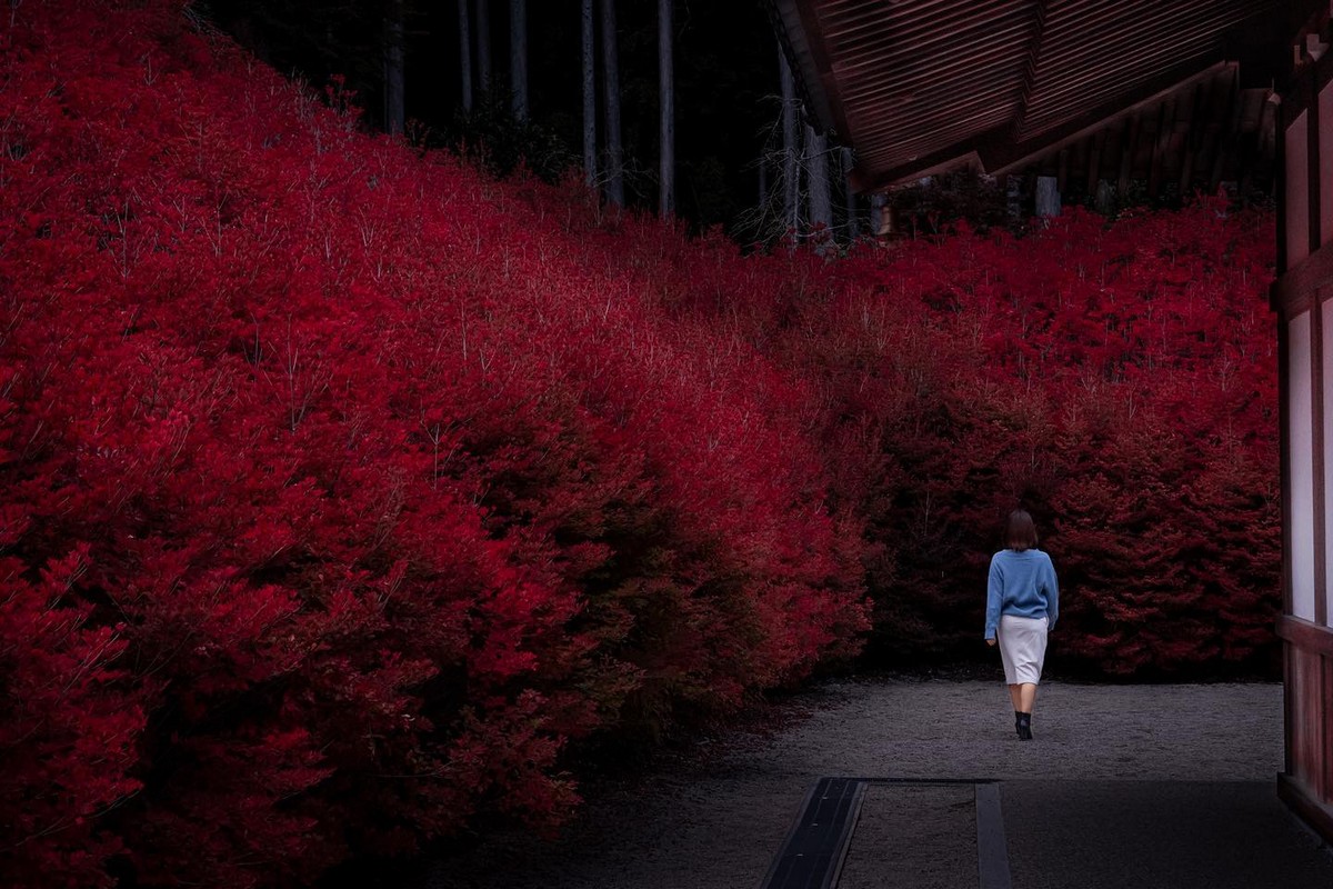 Впечатляющие снимки из путешествий Икумы Норихиро