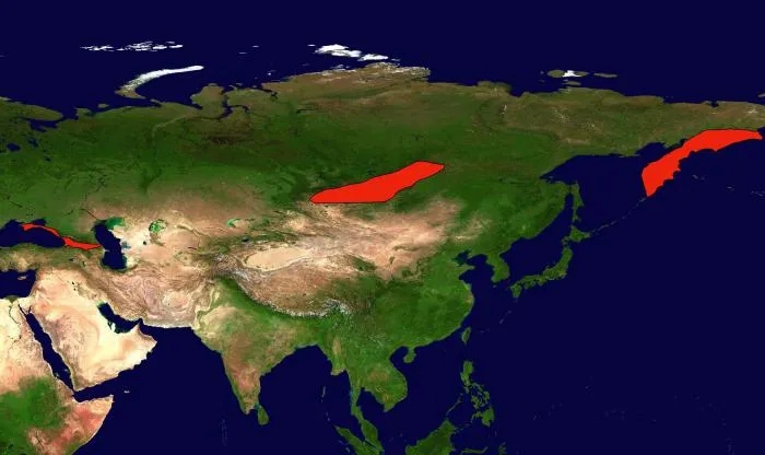 Где в России возможны сильные землетрясения