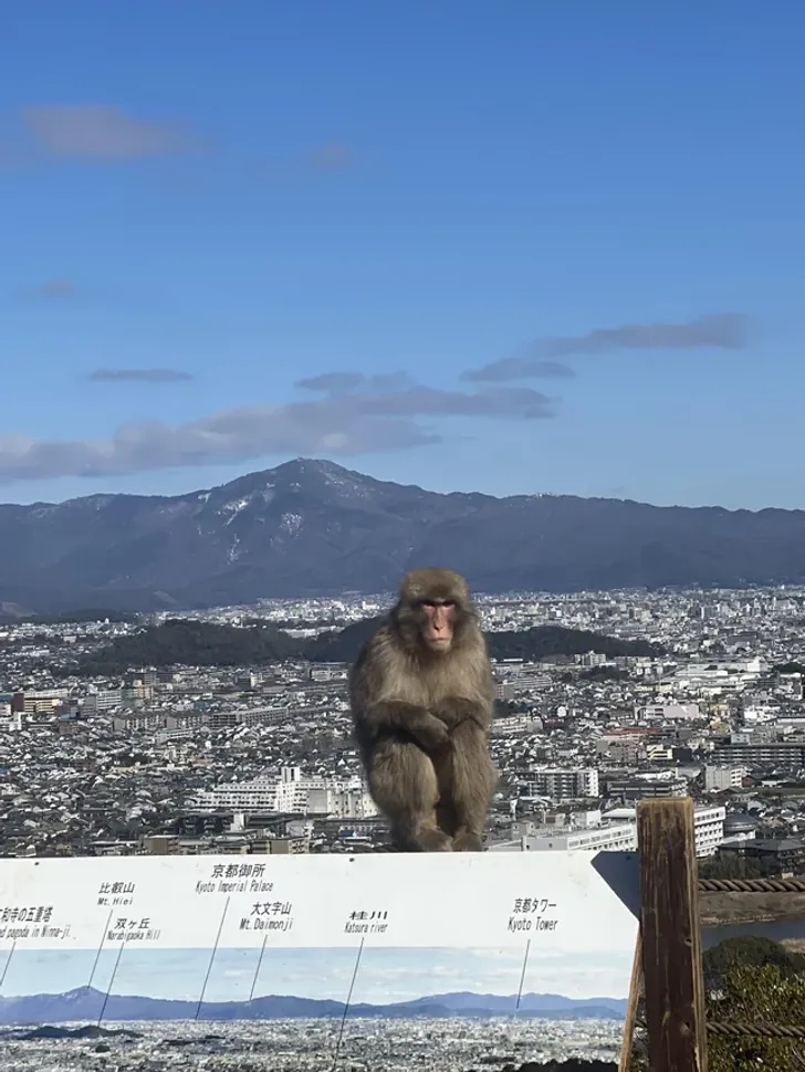 Интересные мелочи жизни в Японии на снимках