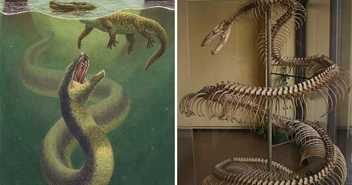 Примеры впечатляющих останков давно вымерших существ