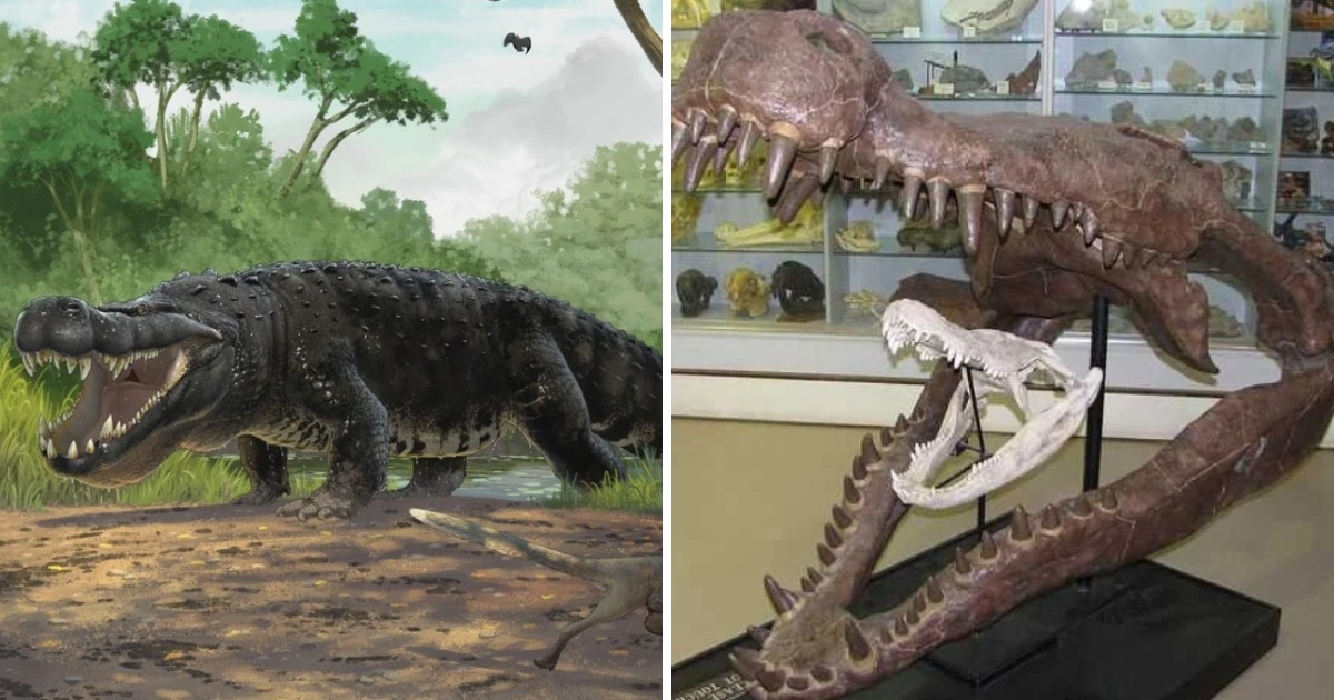 Примеры впечатляющих останков давно вымерших существ