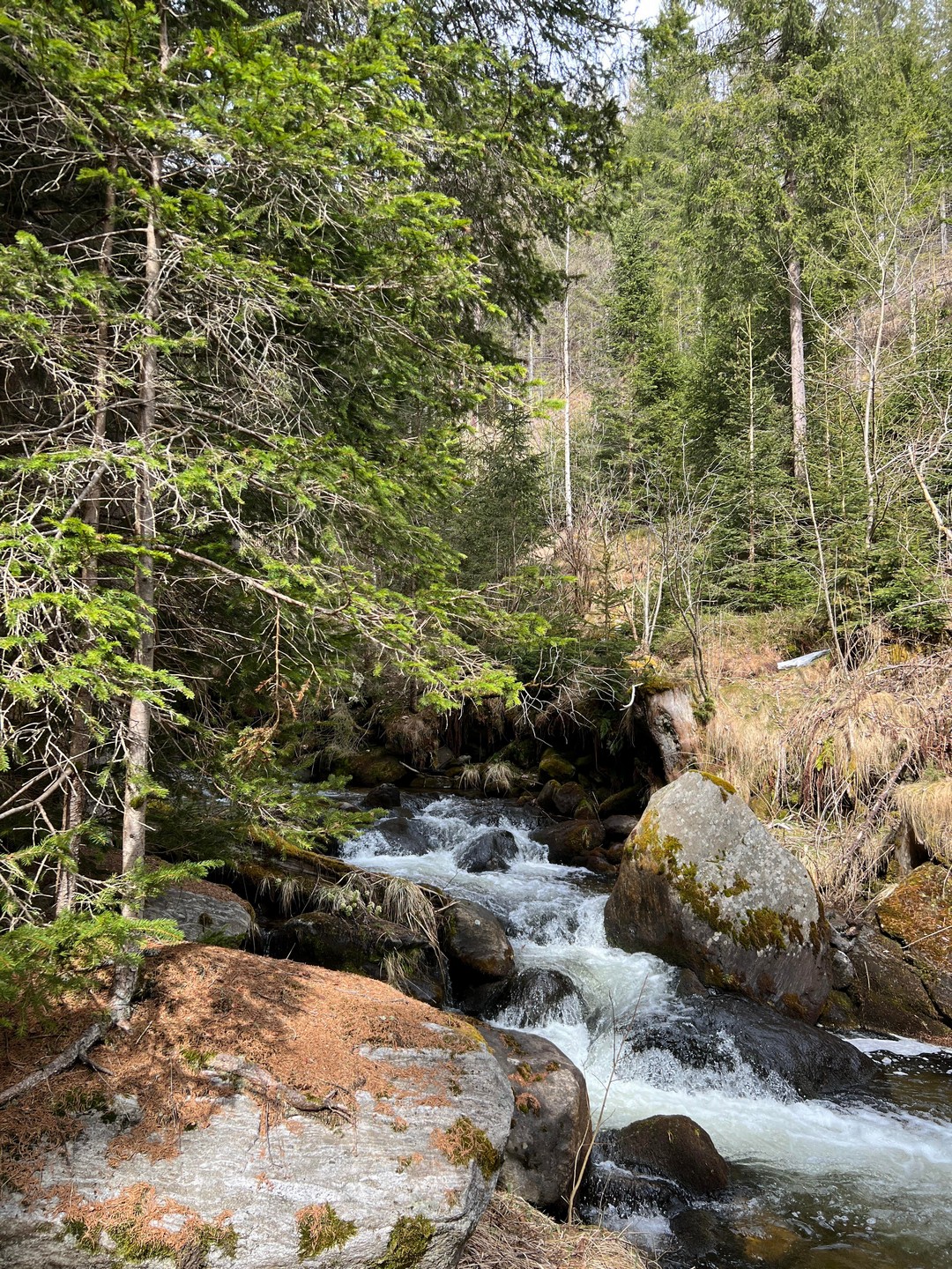 Красота природы на фотографиях