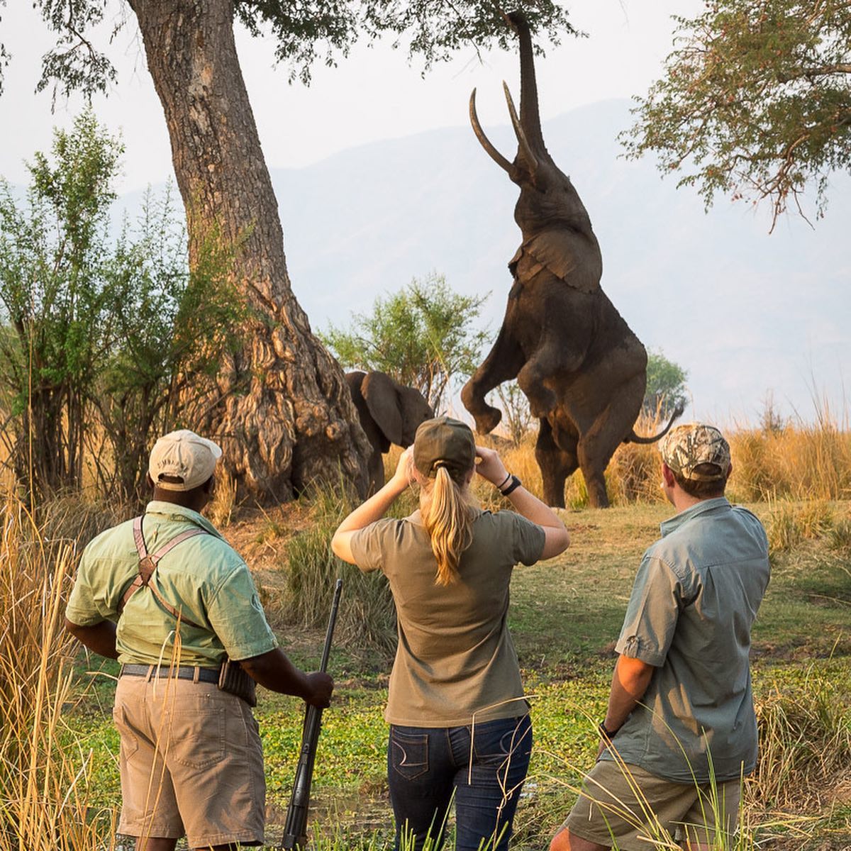 Природа и животные Африки на снимках Даны Аллен