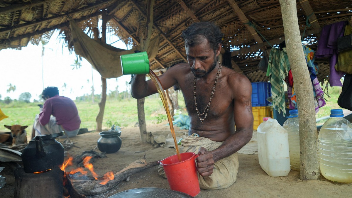 Повседневная жизнь в Шри-Ланке