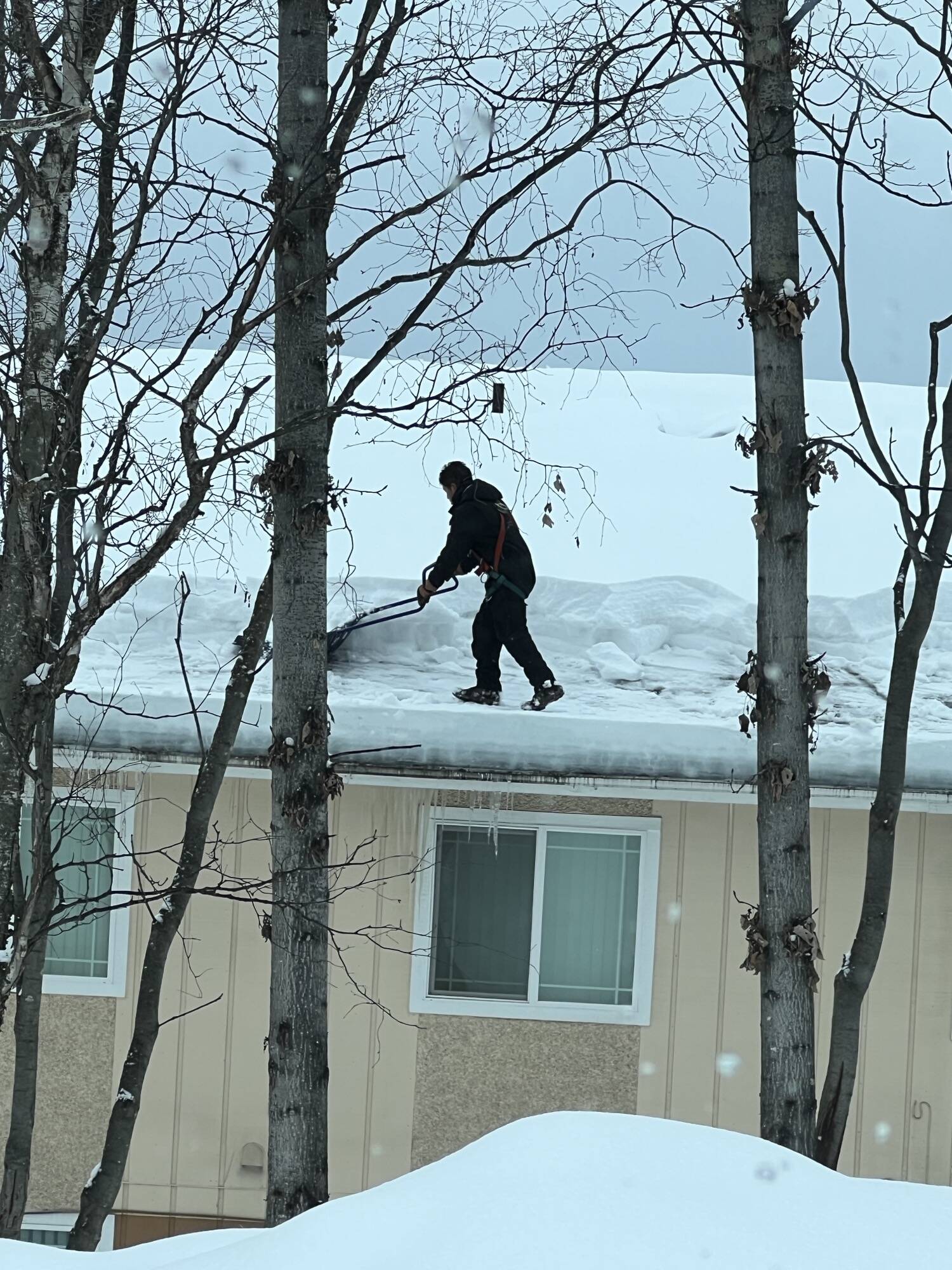 Подборка прикольных картинок