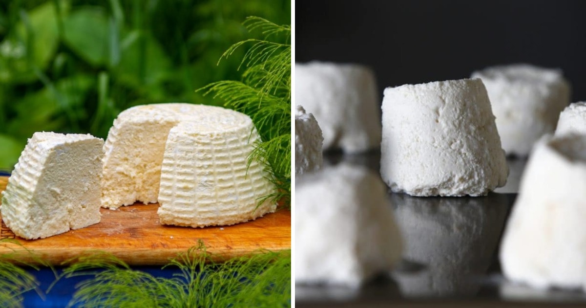 Самые необычные разновидности сыров для гурманов