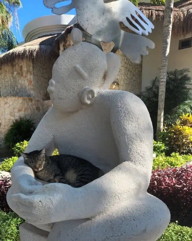 Котики стали украшением для статуй