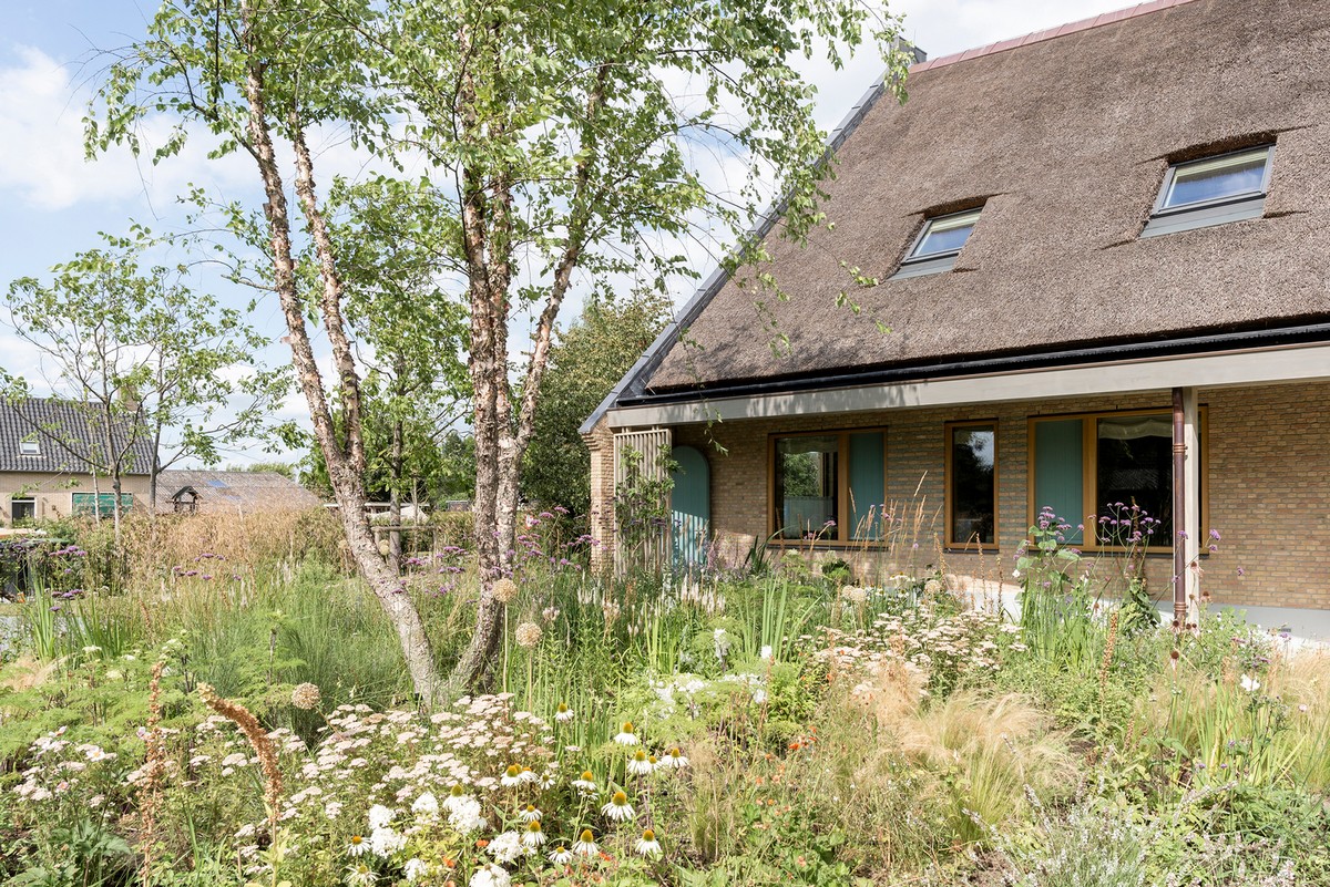 Фермерский дом с соломенной крышей в Нидерландах