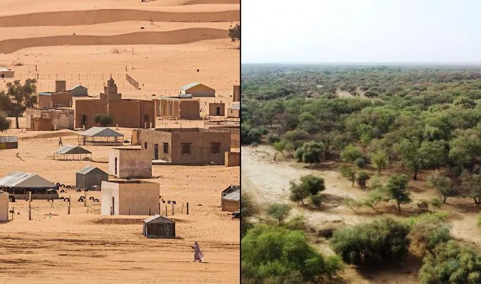 Как Африка хочет остановить опустынивание и защититься от Сахары?