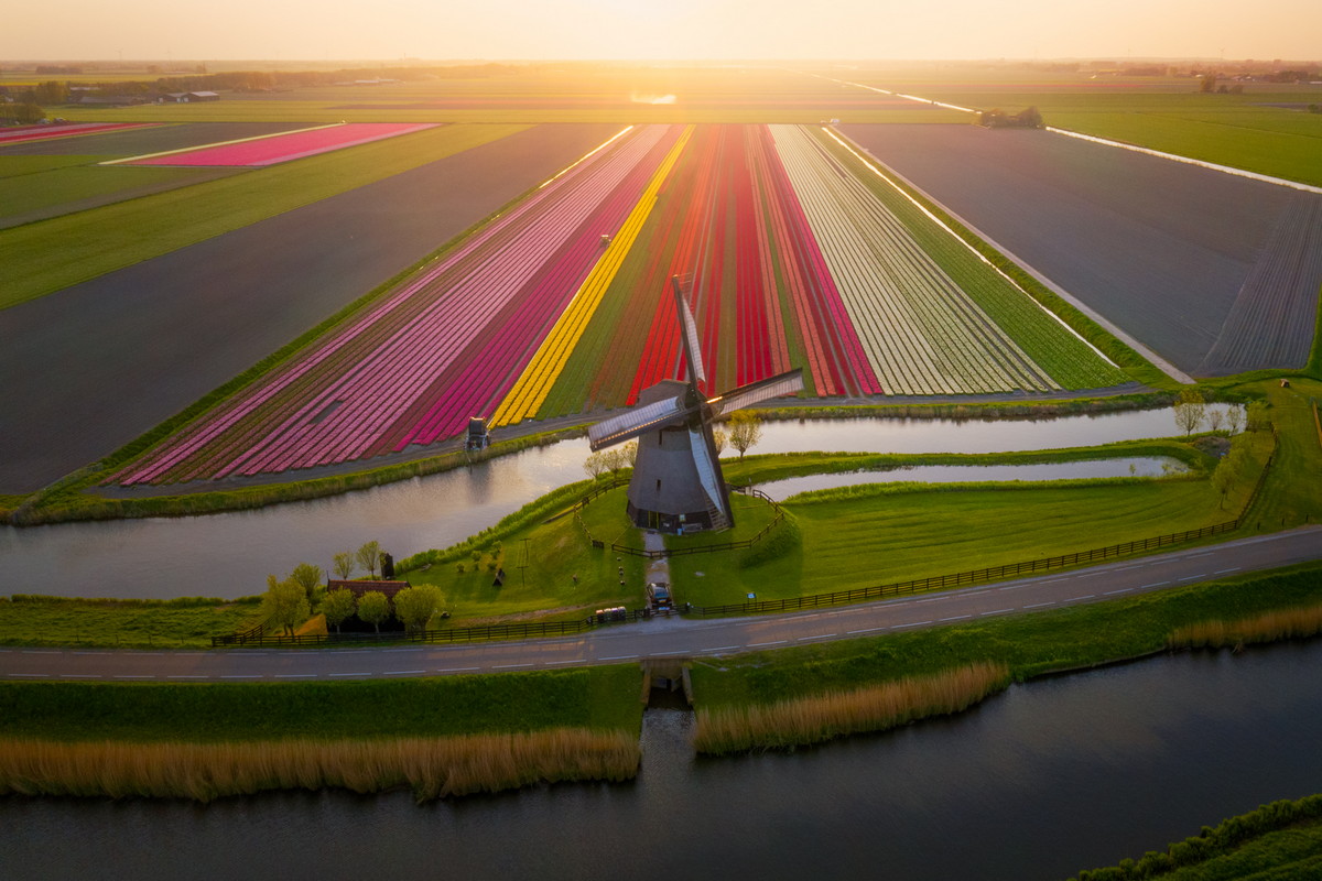 Красоты Голландии на снимках Альберта Дроса