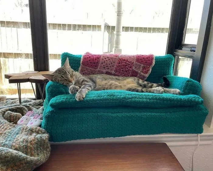Снимки котеек, которые живут в полном тепле и уюте