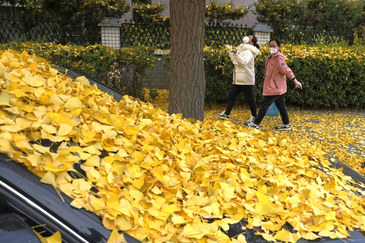 Повседневная жизнь в Китае