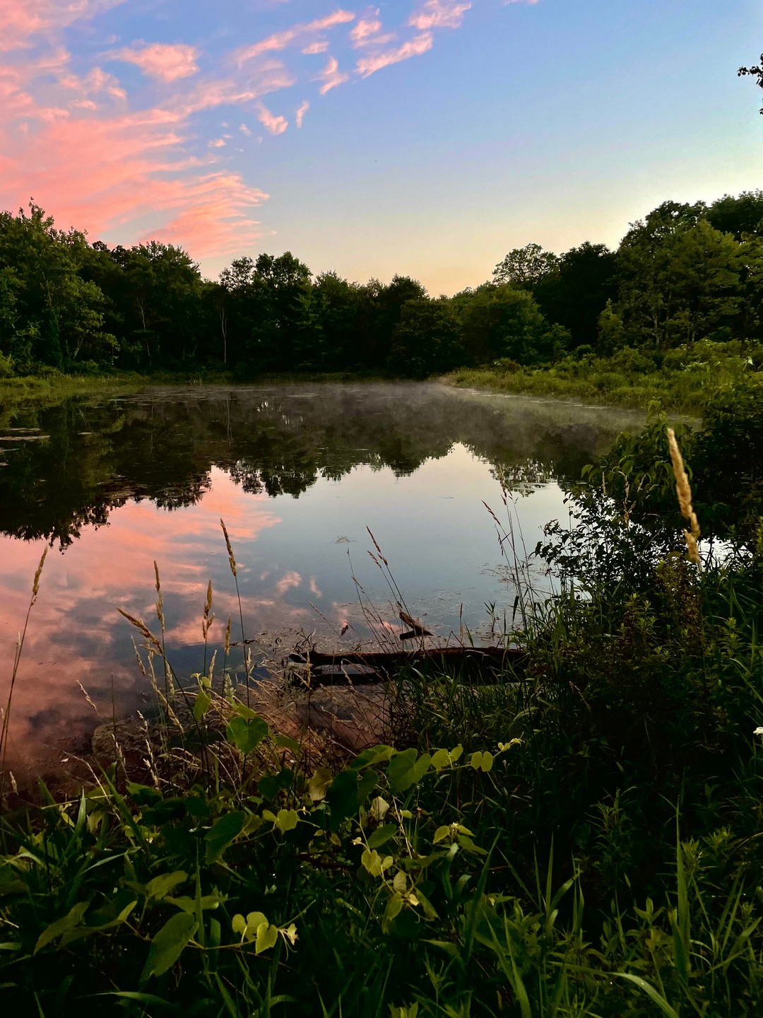 Красота природы на фотографиях