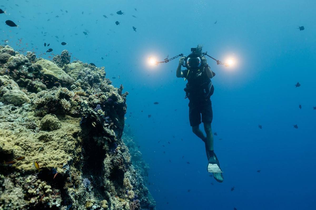 Впечатляющие подводные снимки, которые сделал Карим Илия