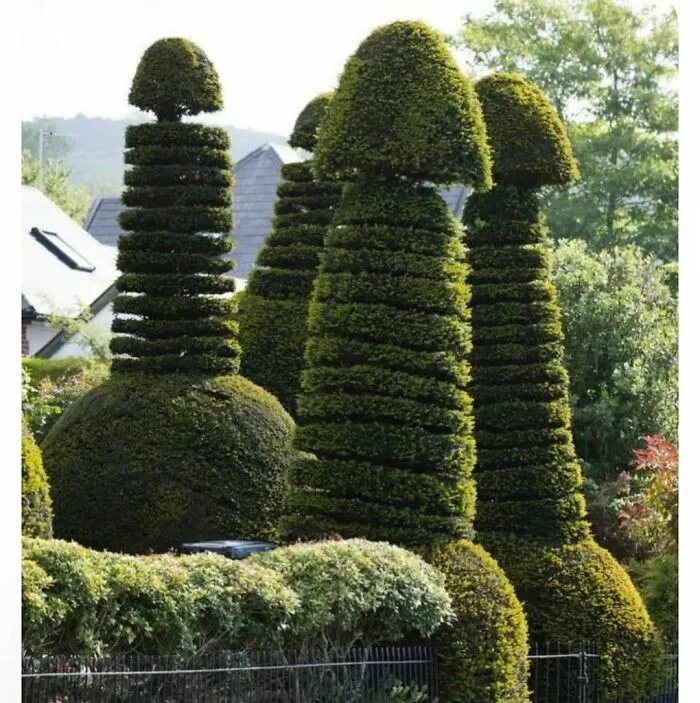 Забавные примеры слегка упоротого садового креатива