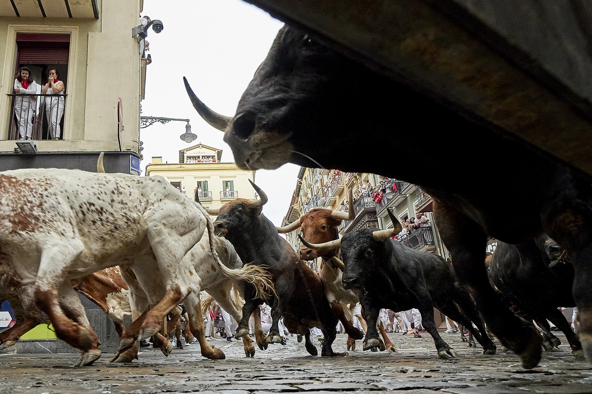 Первый забег быков на фестивале Сан-Фермин в Испании