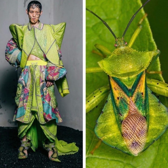 Как творения природы вдохновляют дизайнеров на создание нарядов