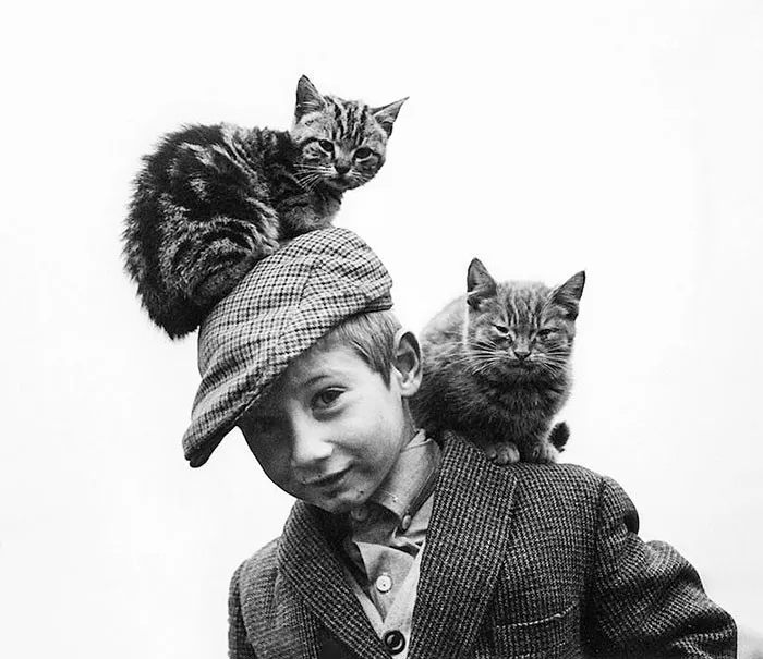 Любопытные ретро-снимки с кошками, сделанные в разные годы