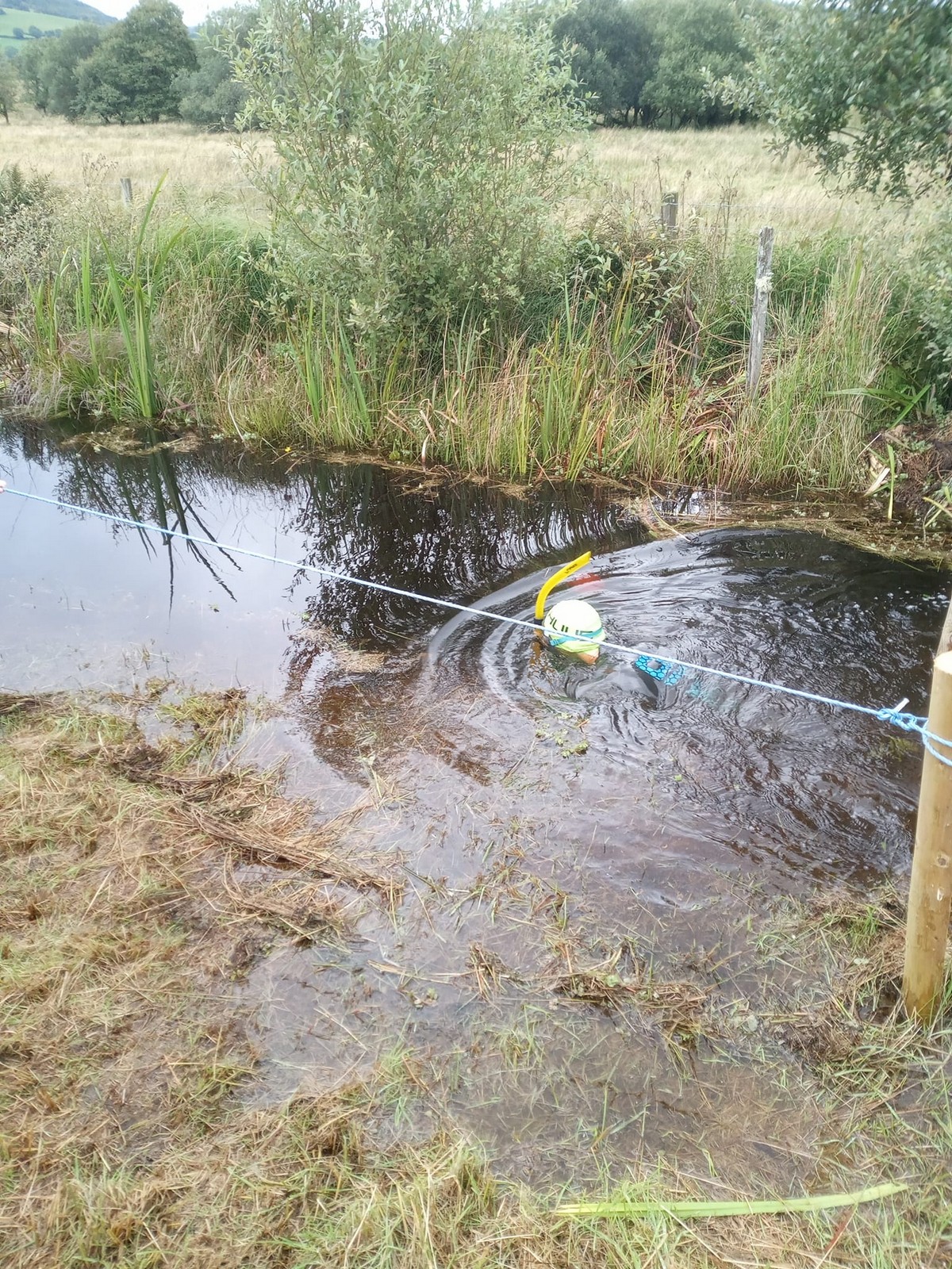 Чемпионат мира по плаванию с маской и трубкой в болоте