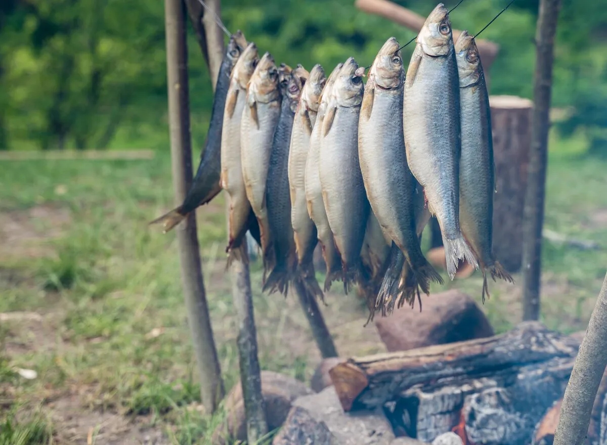 Почему в Российской империи крестьяне топили печь рыбой?