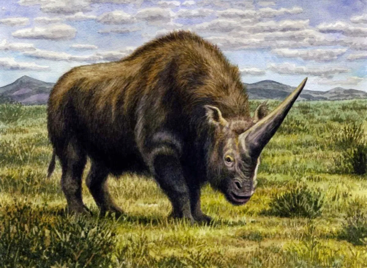 Почему носороги есть, а единорогов не существует?