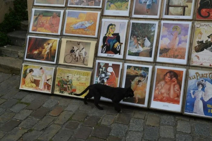 Котики – настоящие ценители искусства