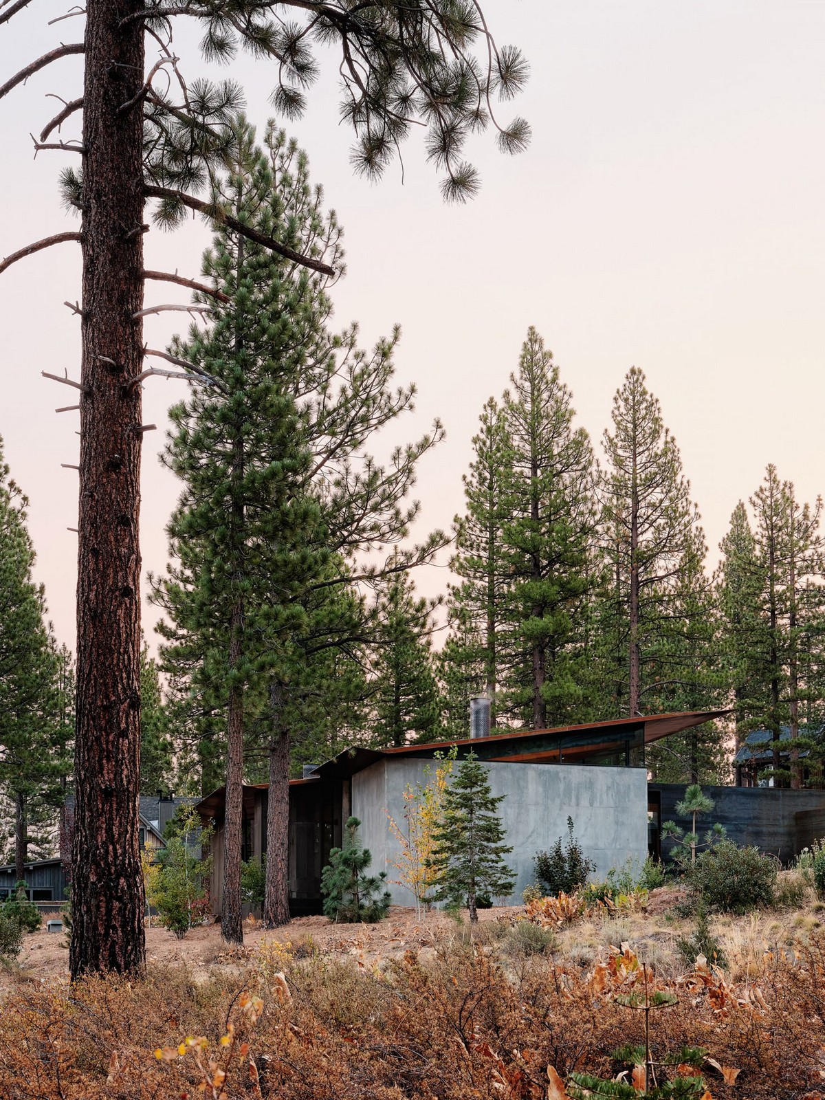Противопожарный лесной дом в северной Калифорнии