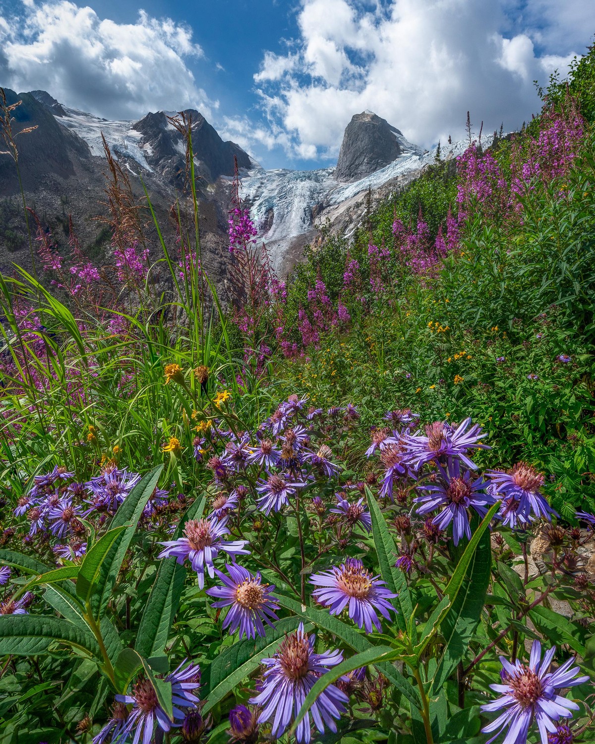 Красота природы на фотографиях