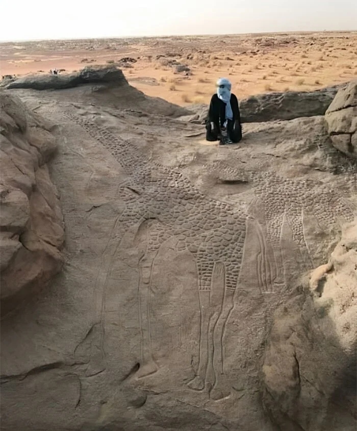 Чудесные находки, сделанные во время путешествия по пустыне