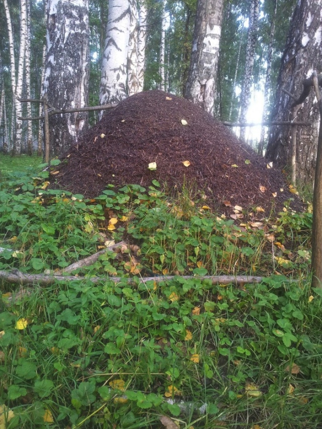 Малосъедобные деликатесы детишек во времена СССР