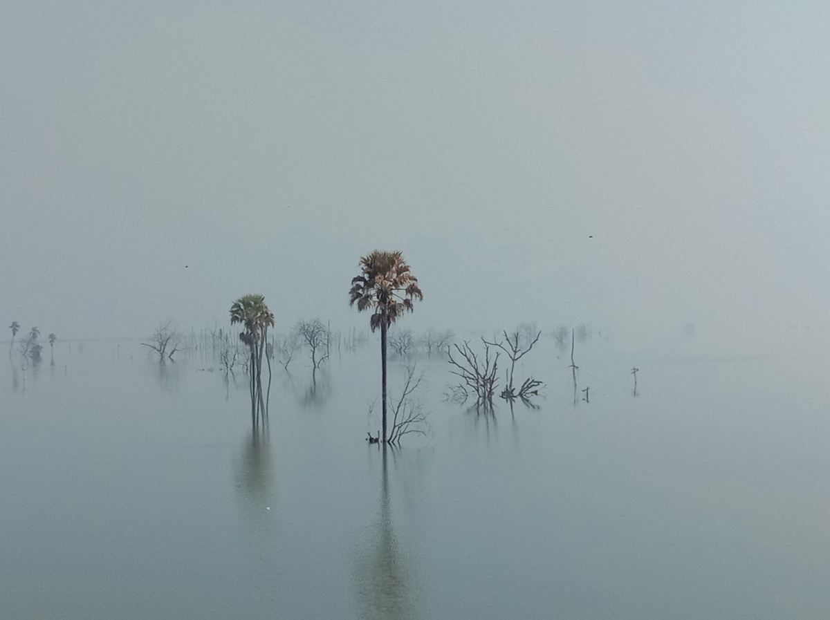 Пейзажные снимки, получившие награду Sony World Photography Awards 2023