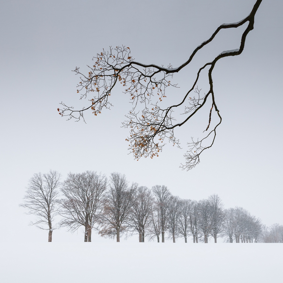 Пейзажные снимки, получившие награду Sony World Photography Awards 2023