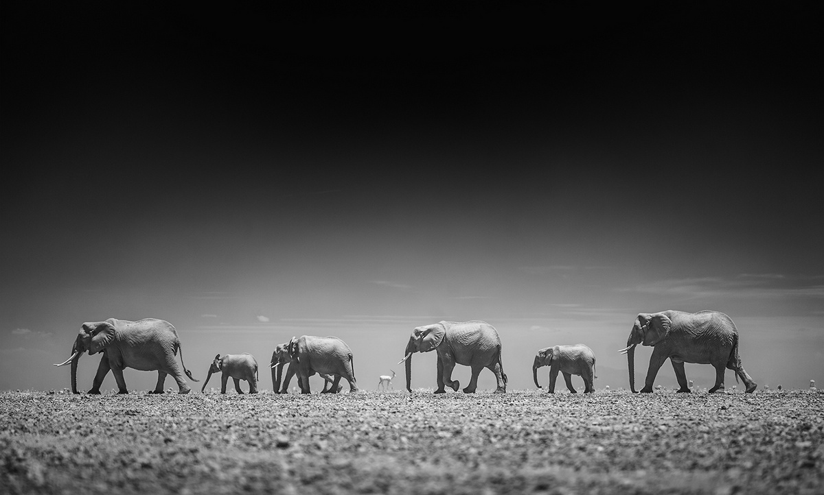 Красивые черно-белые снимки от Паоло Амели
