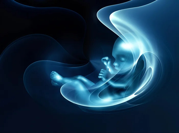 Вопрос о моменте, когда эмбрион обретает душу, взгляд религии и науки