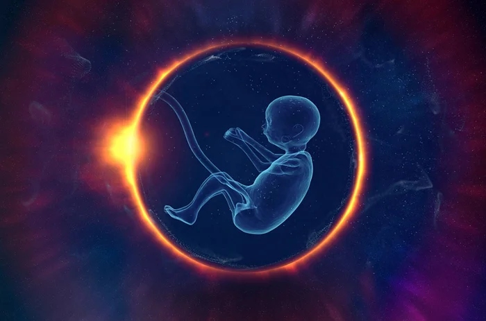 Вопрос о моменте, когда эмбрион обретает душу, взгляд религии и науки