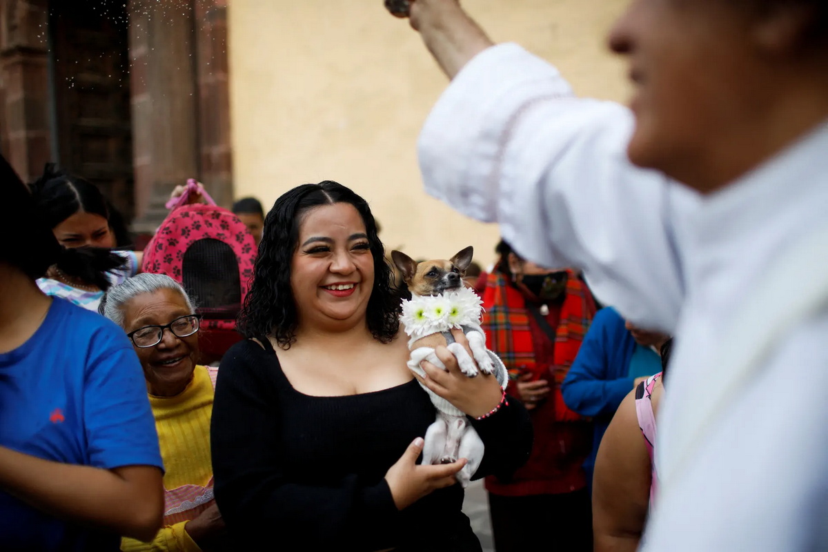 Благословение питомцев на праздник святого Антонио Абада в Мексике