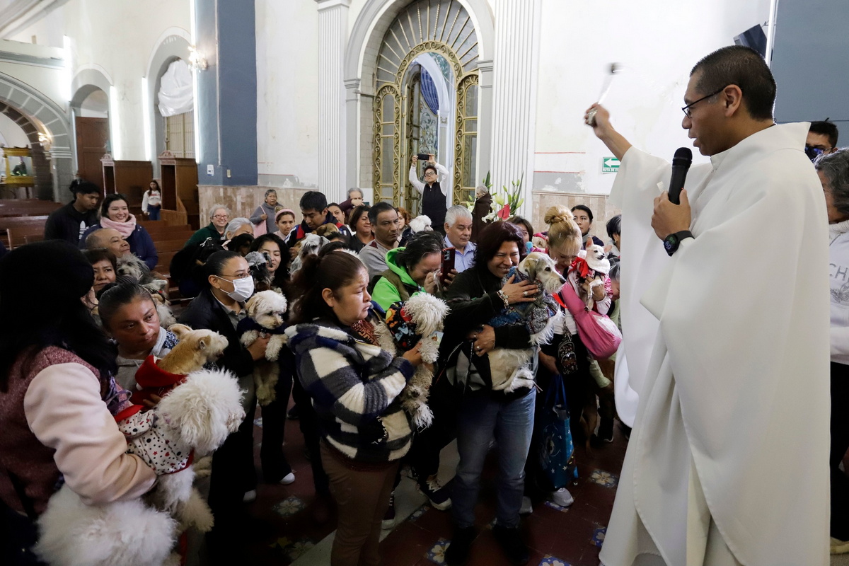 Благословение питомцев на праздник святого Антонио Абада в Мексике