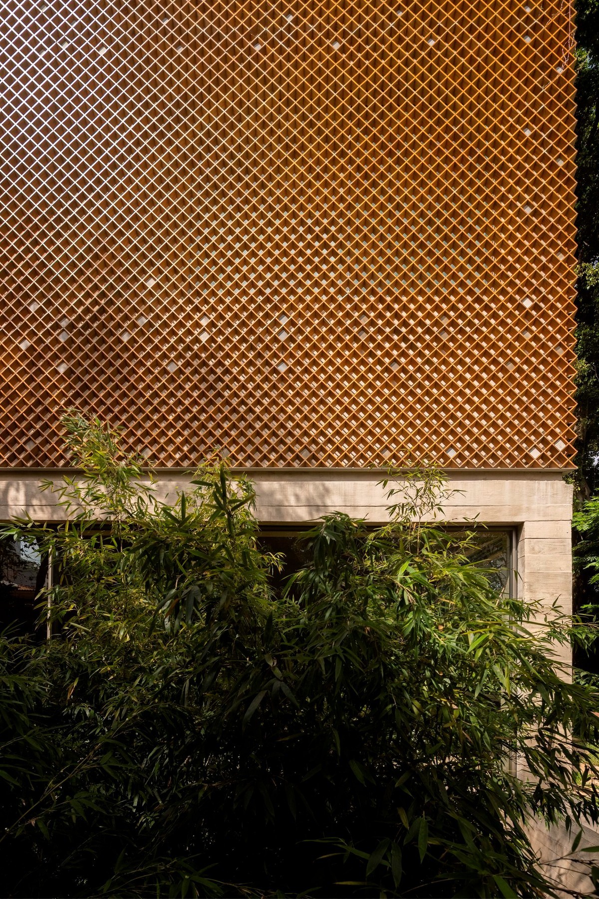 Загородный дом с экранированным фасадом в Бразилии